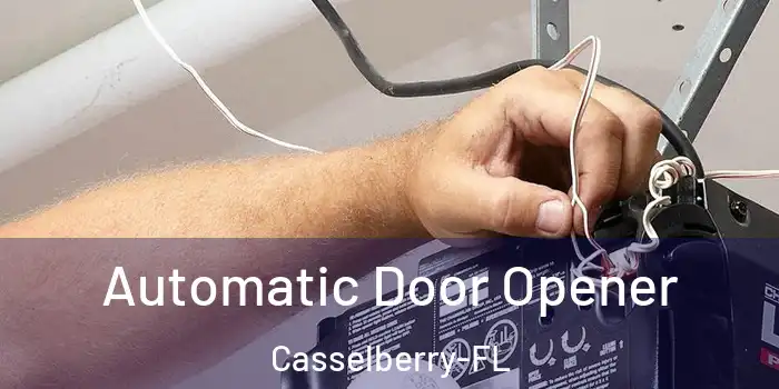 Automatic Door Opener Casselberry-FL