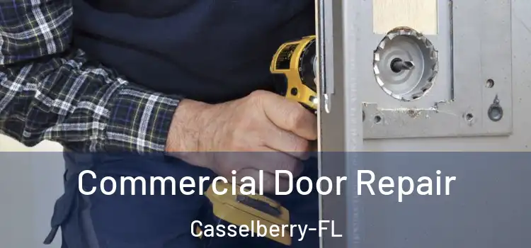 Commercial Door Repair Casselberry-FL