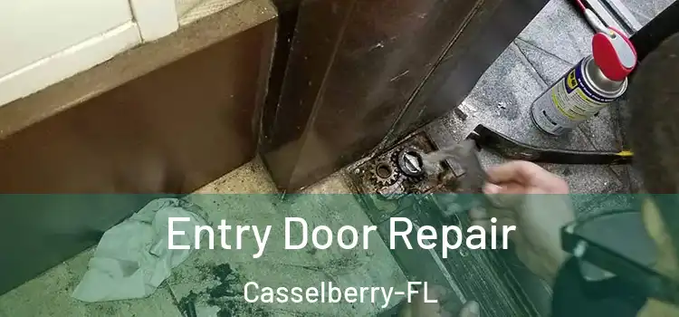 Entry Door Repair Casselberry-FL