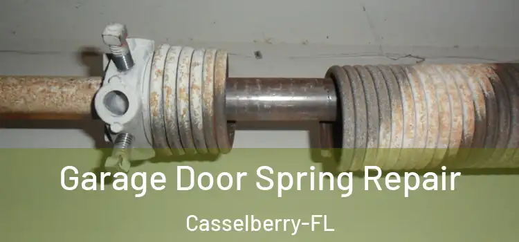  Garage Door Spring Repair Casselberry-FL