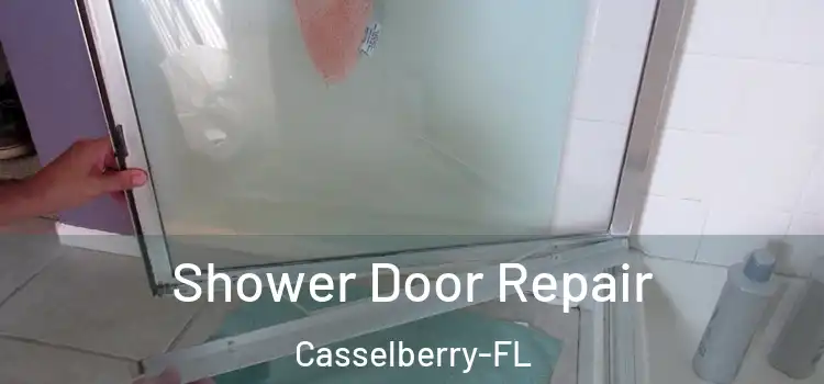Shower Door Repair Casselberry-FL