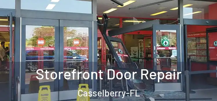 Storefront Door Repair Casselberry-FL